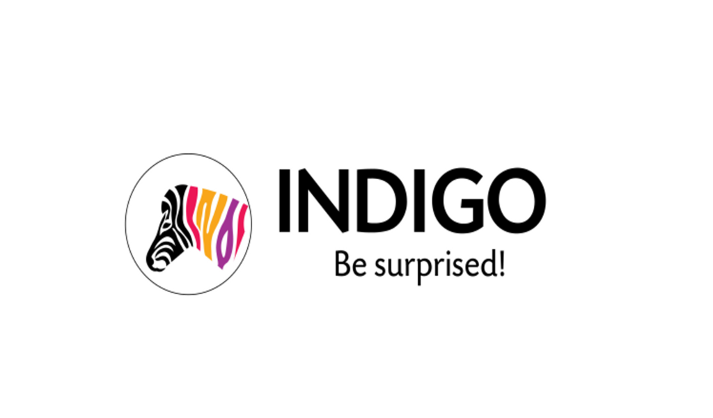 Indigo Paints have been rising like a phoenix