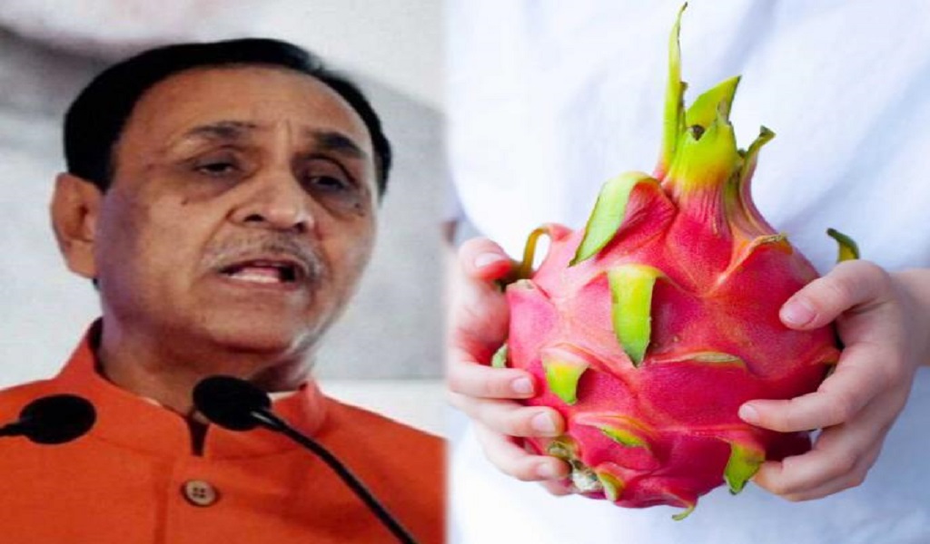 "Dragon Fruit Renamed To ‘Kamalam’, Announced Gujarat Chief Minister For The State"