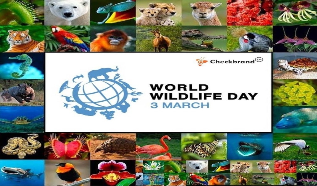 Team Checkbrand wishes its readers on the occasion of World Wildlife Day